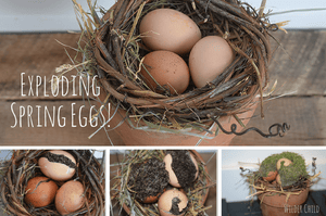 How to Make Exploding Spring Eggs