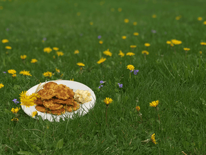 Gluten-Free Dandelion Fritters The Kids Will Love!