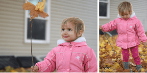 Let's Go Fishing for Leaves!