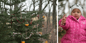 Decorating an Outdoor Edible Tree for the Animals