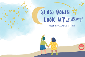 The Slow Down, Look Up Challenge!