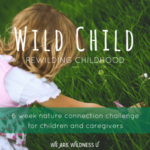 The Wild Child Summer Challenge From We Are Wildness