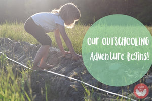 Our Wildschooling Adventure Begins!