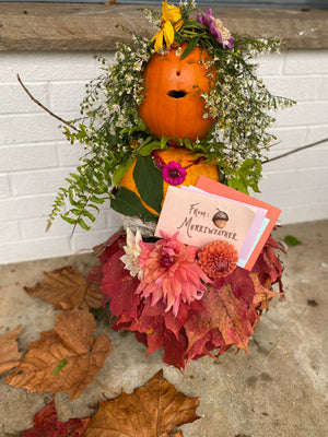 Merriweather: Character Creation and Guide