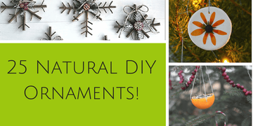 25 Natural Ornaments the Kids Will Love Making!