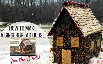 How to Make a Gingerbread House for the Birds