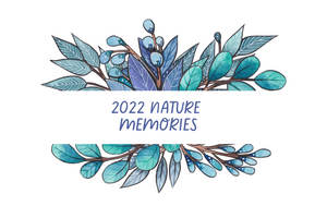 Create Your 2022 Nature Year Keepsake - FREE PRINTABLE!